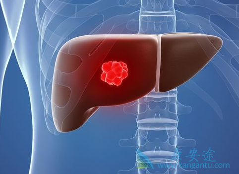 乐伐替尼 乐伐替尼