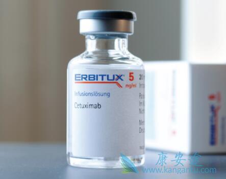 西妥昔单抗 西妥昔单抗