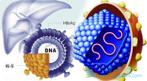 乙肝新药 乙肝新药