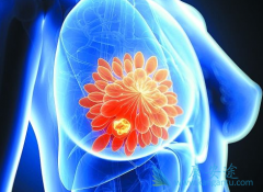 ��άĪ˾/�����������ڷ���ҩ����й��������ٰ���������Ч��