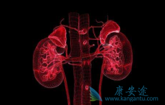 RECORD-4�о�ȷ������άĪ˾(Everolimus)�ڶ��ߵ�PFS����