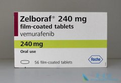 ʹ�����޷���(Zelboraf)�ľ����ע������