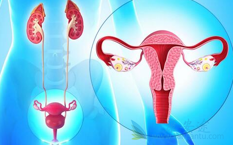 奥拉帕尼 奥拉帕尼