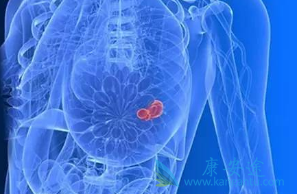 他莫昔芬 他莫昔芬