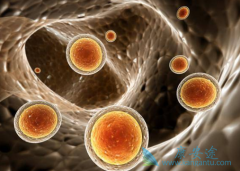 ��������(Crizotinib)����һ�߻���ߵ�����Ч����������