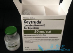 ��ķ����(pembrolizumab)��ʹ���ַ������Ի����Ļ��ߴ��