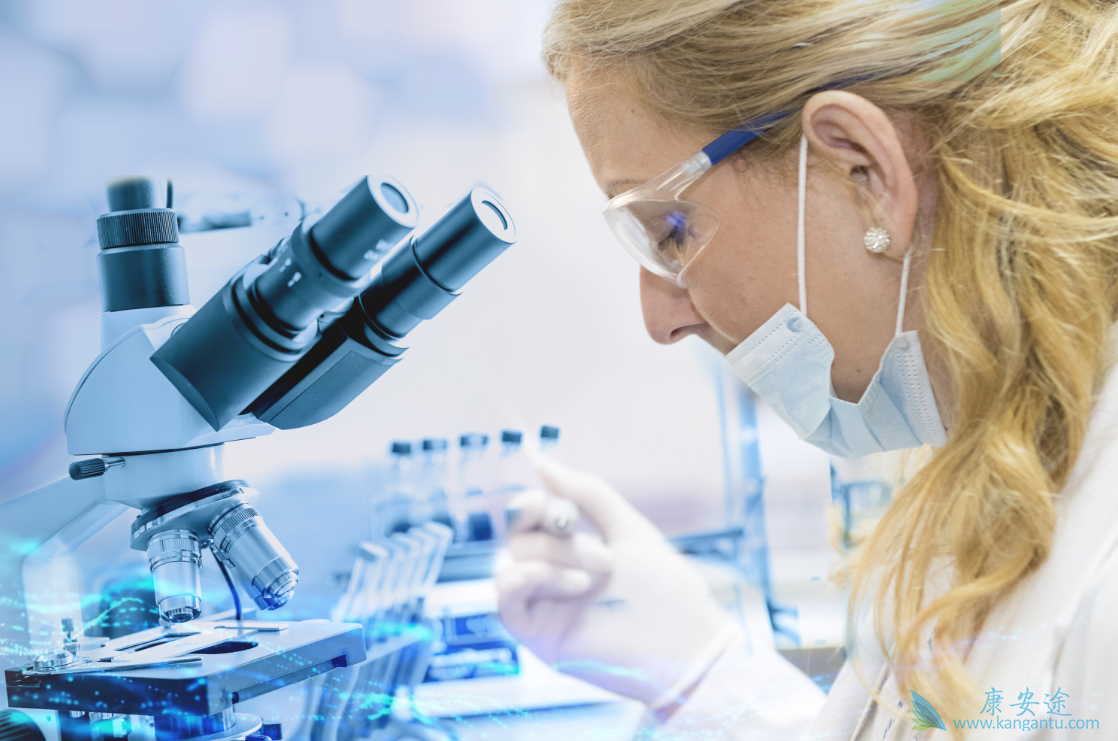 试管婴儿 试管婴儿