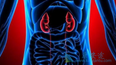 ��������(XL184)��ƾʲô��Ϊ����������һ����ҩ��