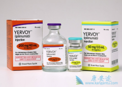 CTLA-4����Yervoy��PD-1���Ƽ�Opdivo���õ�����Ч����ô����