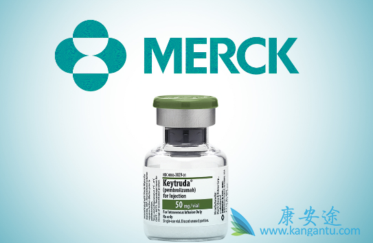 免疫治疗 免疫治疗