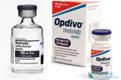 PD-1���Ƽ���������������Ŀǰ��֢���Ƶ��о��ȵ�