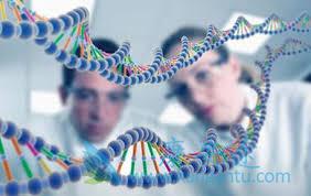 试管婴儿 试管婴儿