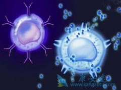 Ϊ��EGFRͻ��ķΰ����߸�Ը����ѡ̩��ɯ/��ϣ����