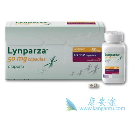 PARP抑制剂 PARP抑制剂