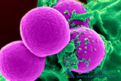 ��ɳ����/��ɳ�����µ���ϵͳ������Ҫ���ļ��ֱ�����ʽ