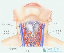 ��֢���κ�����Щ��֢���κã�