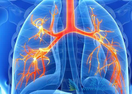 威罗菲尼 威罗菲尼