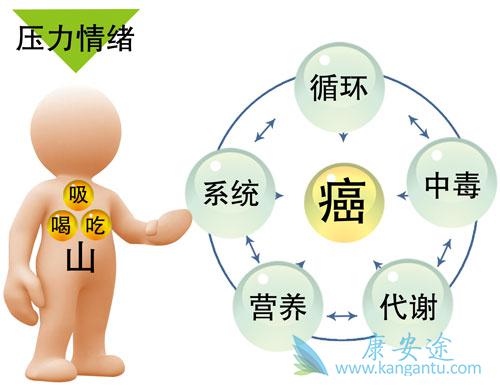 癌症的治疗 癌症的治疗