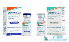 PD-1������CTLA-4��������Ч�Ϻõİ�֢�������Ʒ���