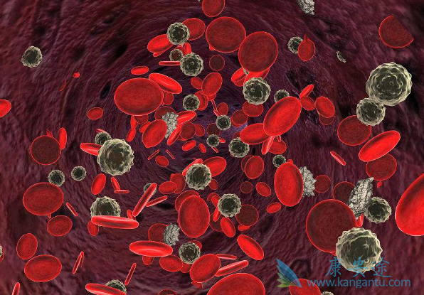 ��Ѫ������