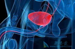 �����ε��ܼ��Ῠ������(Cabazitaxel)���µĸ�к��