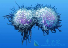 �����Ȱ�(Pomalidomide)���ϻ��������ɸ��ƶ෢�Թ��������ߵ�PFS