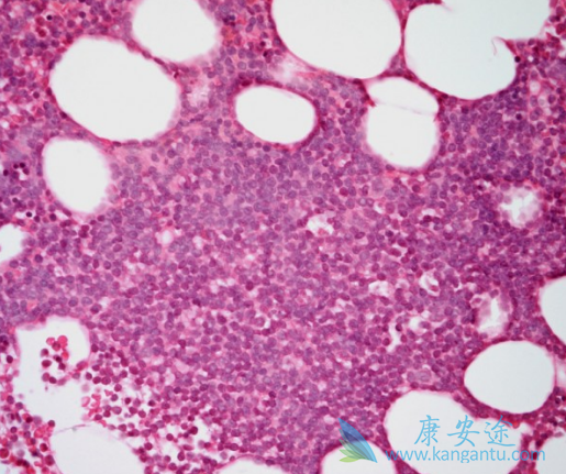 ��³����