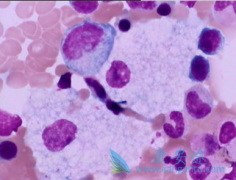 ÿ��һ���ϼ�����³����(EMLUTINI)�Ϳɸ��ƻ��ߵ���������