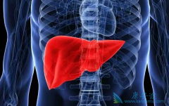 ���ڸΰ����߷��ÿ�������(XL184)���ܻ�����