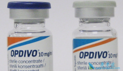 PD-1����Opdivo����Yervoy˫�����Ʒ���������ת�ƻ��ߵ����ƾ���