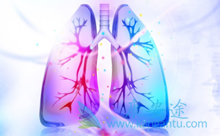 凡德他尼 凡德他尼