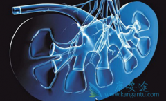 ����ҩ�ﲩ������(Bosutinib)�����ƶ�������