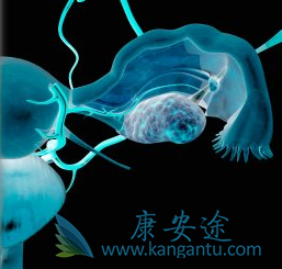 培美曲塞 培美曲塞