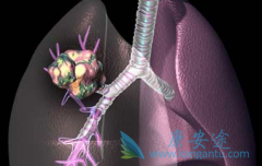 ��Ī«����(Cyramza)����������Щ��Сϸ���ΰ�����