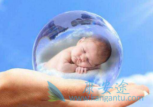 试管婴儿 试管婴儿