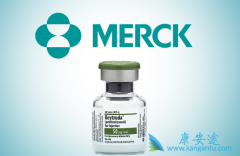 �������еİ���ҩ�ﶼ���Ժ�PD-1����������ҩ����