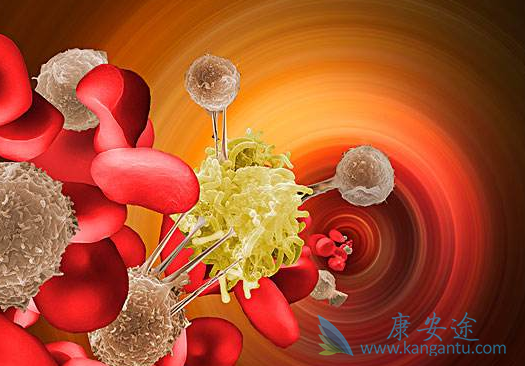 依维莫司 依维莫司