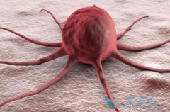 CAR-Tϸ�������Ʒ����ƶ��Խ�������˷��������ƻ���