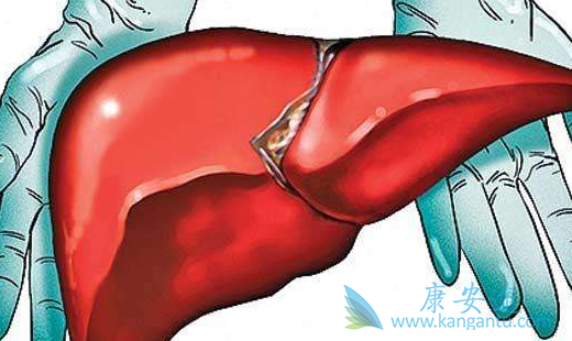 恩替卡韦 恩替卡韦