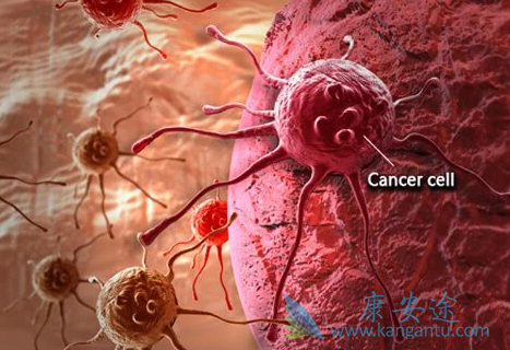 RET�е����Ƽ�