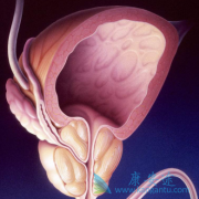 ��������(Zytiga)��������������������Ƶֿ���ǰ���ٰ�������