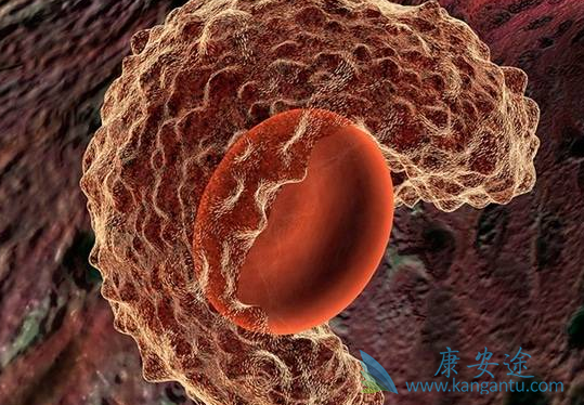 ��ɳ����