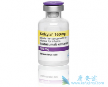 T-DM1/TDM1�������鵥����ҩ��HER2�������ٰ�����������ѡ