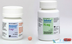 ��������/��������������������������BRAFͻ��ı�׼�Ʒ�