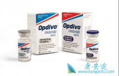 ʹ�ù���PD-1����Opdivo/ŷ��������ʱӦ�����Դ���̴�ҩ��