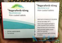 ����ҩ��������(REGORAFENIB)�������Ƶİ�֢�м���