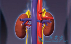 �����������������������(Sunitinib)����Щ����