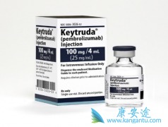 �κ�����ǰ��ͳ��ɫ������PD-1����Keytruda�Ѿ����й�����