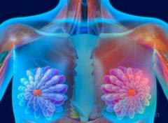 ������ʹ��ܽ�˵�(Faslodex)/��ά˾Ⱥ��̥����Ӱ����