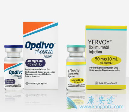CTLA-4药物 CTLA-4药物